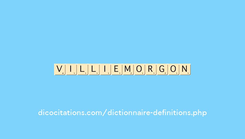 villie-morgon