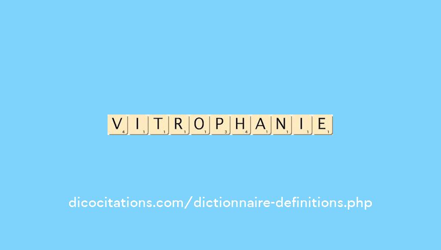 vitrophanie vitrophanie