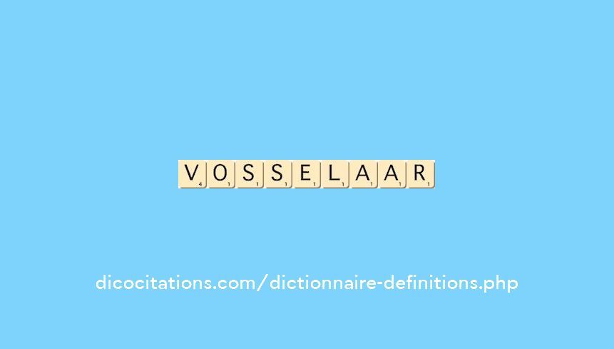 vosselaar vosselaar