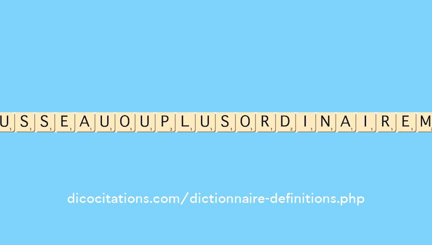 vousseau-ou--plus-ordinairemen