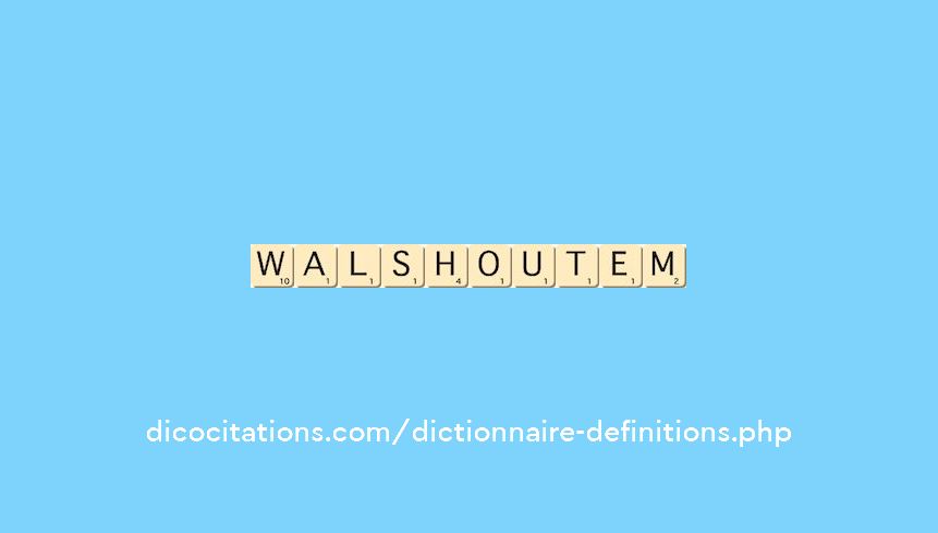 walshoutem walshoutem