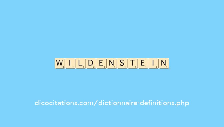 wildenstein