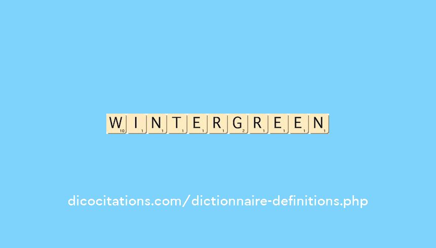 wintergreen wintergreen