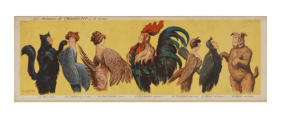 Les animaux de Chantecler