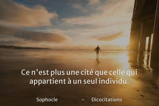 La Cit et l'homme