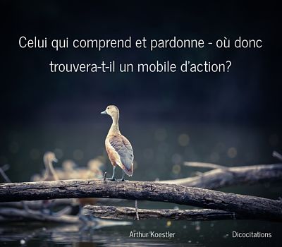 Coeur ou raison