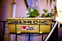 Les citations d'internautes