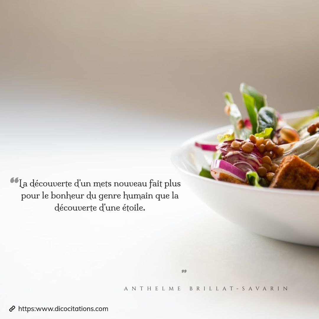 La dcouverte d'un mets nouveau fait plus pour le bonheur du genre humain que la dcouverte d'une toile