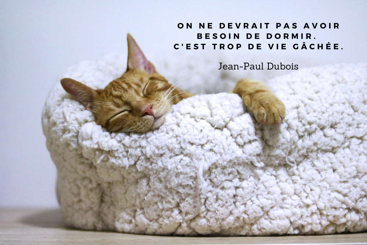 On ne devrait pas avoir besoin de dormir. C'est trop de vie gche. 