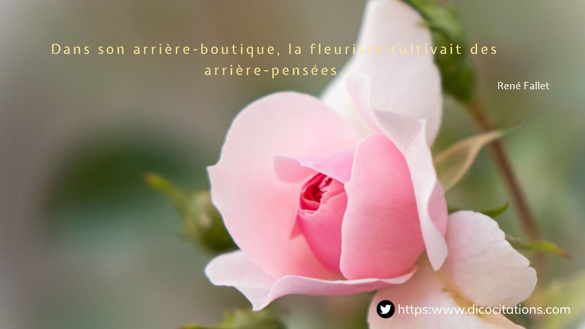 Dans son arrire-boutique, la fleuriste cultivait des arrire-penses