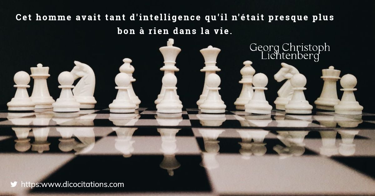 Cet homme avait tant d'intelligence qu'il n'tait presque plus bon  rien dans la vie.