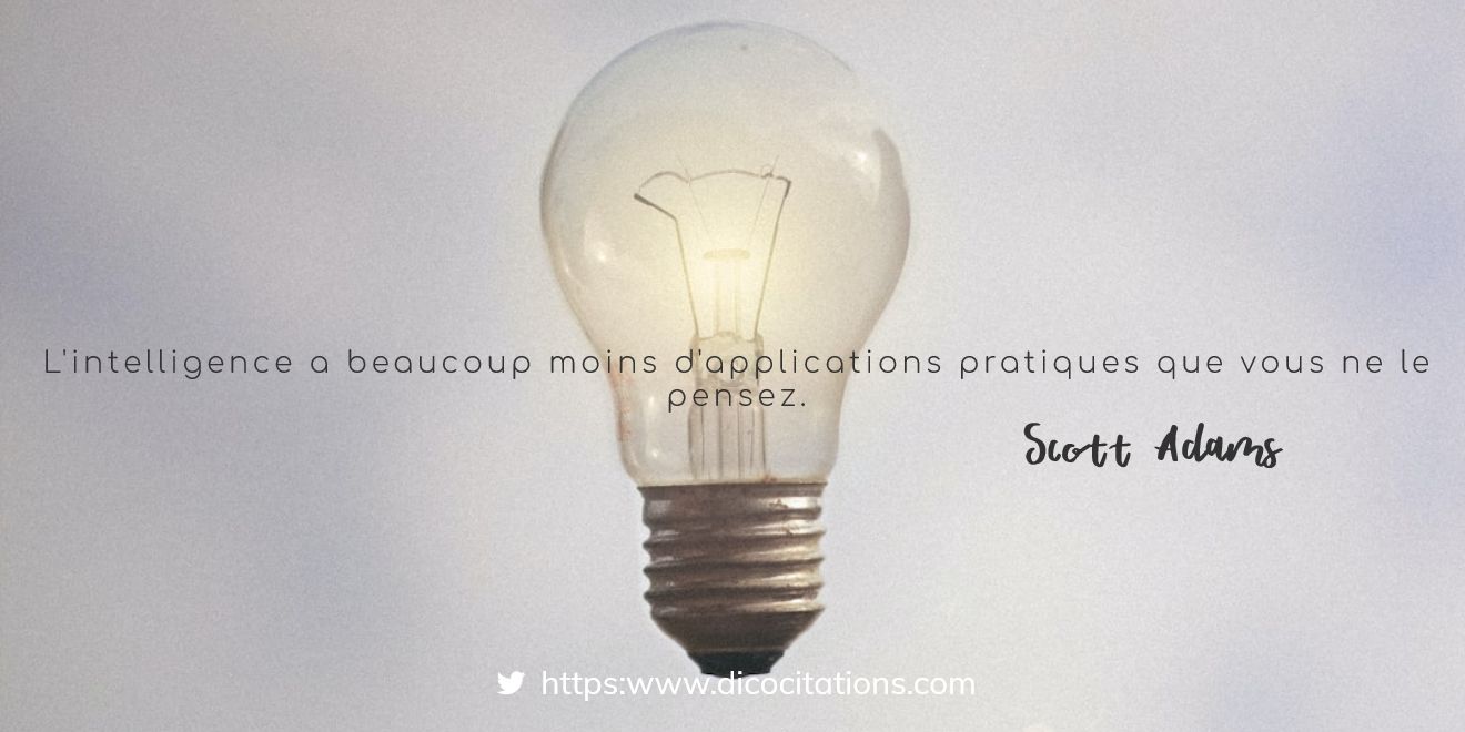 L'intelligence a beaucoup moins d'applications pratiques que vous ne le pensez.