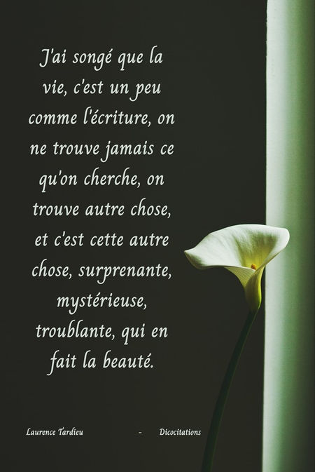 Illusion du frisson