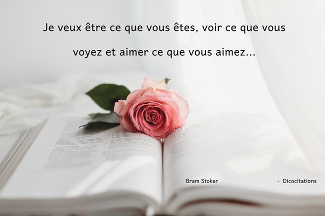 Aimer ce que vous aimez