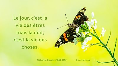 La vie des tres