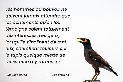 Les hommes au pouvoir