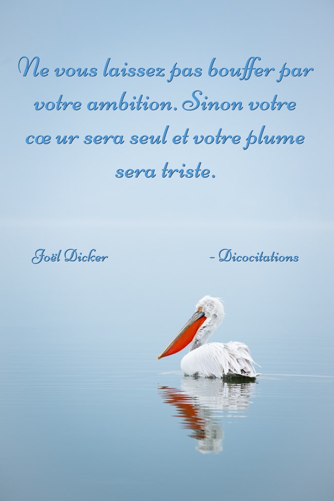 Trop d'ambition