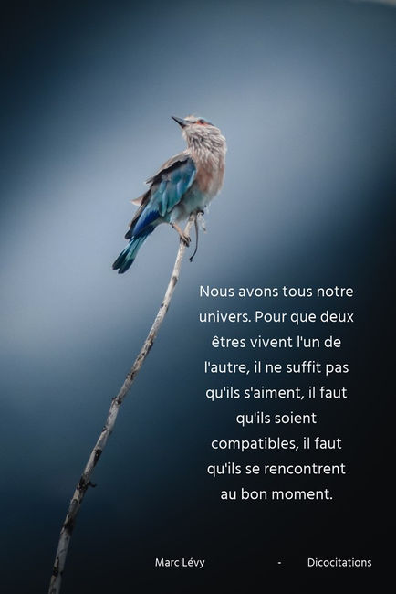 notre personnalit
