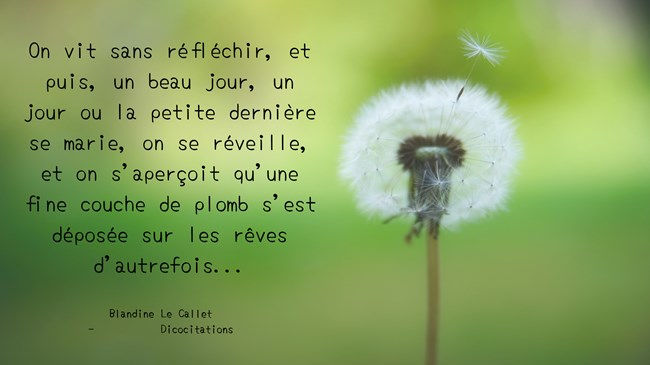 Vivre sans rfchir