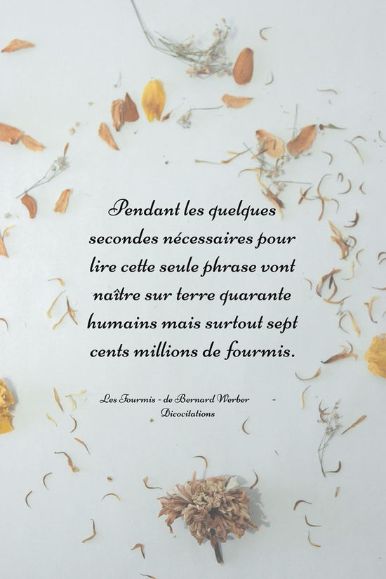 Des fourmis et des hommes