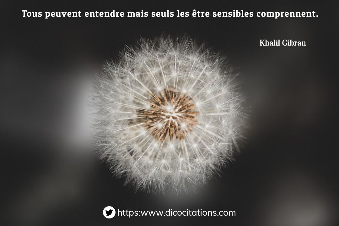 Tous peuvent entendre, mais seuls les tre sensibles comprennent.