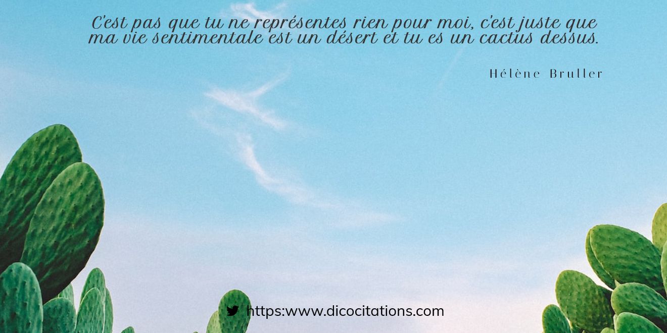  c'est juste que ma vie sentimentale est un dsert et tu es un cactus dessus.