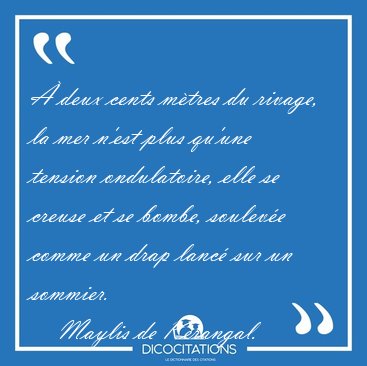  deux cents mtres du rivage, la mer n'est plus qu'une tension [...] - Maylis de Kerangal...
