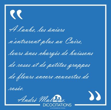 A l'aube, les niers n'entreront plus au Caire, leurs nes [...] - Andr Malraux...