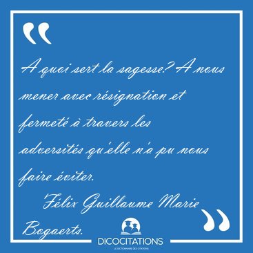 A quoi sert la sagesse? A nous mener avec r�signation et fermet� [...] - F�lix Guillaume Marie Bogaerts...