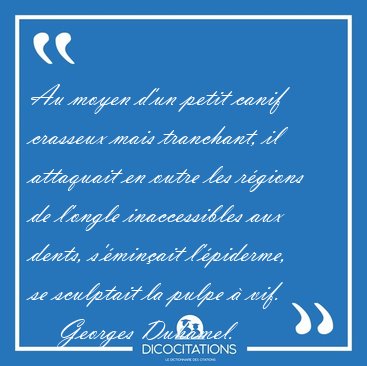 Au moyen d'un petit canif crasseux mais tranchant, il attaquait [...] - Georges Duhamel...
