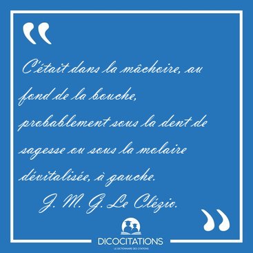C'�tait dans la m�choire, au fond de la bouche, probablement [...] - J. M. G. Le Cl�zio...