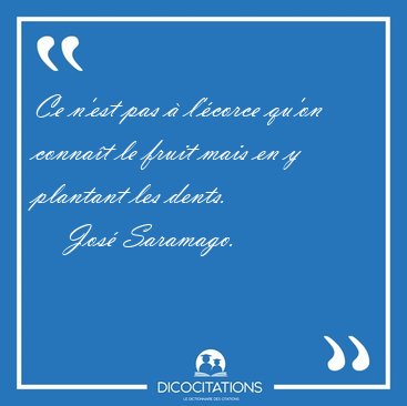 Ce n'est pas � l'�corce qu'on conna�t le fruit mais en y [...] - Jos� Saramago...