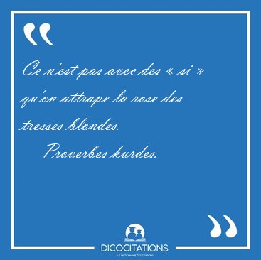 Ce n'est pas avec des  si  qu'on attrape la rose des tresses [...] - Proverbes kurdes...