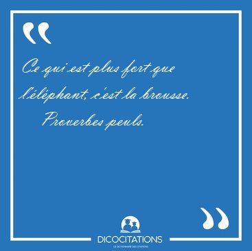 Ce qui est plus fort que l'lphant, c'est la [...] - Proverbes peuls...