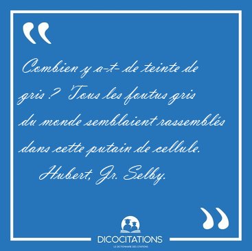 Combien y a-t- de teinte de gris ?  Tous les foutus gris du [...] - Hubert, Jr. Selby...