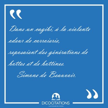 Dans un cagibi,  la violente odeur de corroierie, reposaient [...] - Simone de Beauvoir...