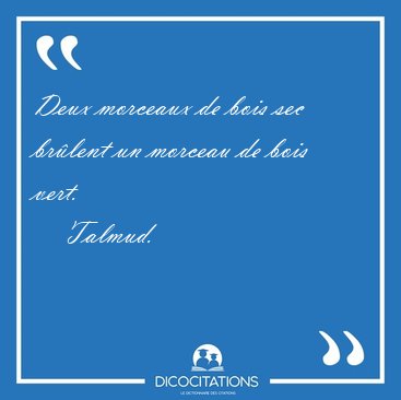 Deux morceaux de bois sec br�lent un morceau de bois [...] - Talmud...