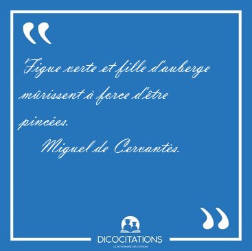 Figue verte et fille d'auberge mrissent  force d'tre [...] - Miguel de Cervants...