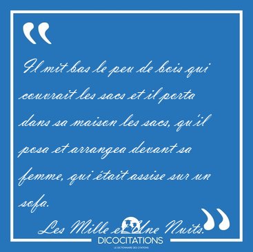 Il mit bas le peu de bois qui couvrait les sacs et il porta dans [...] - Les Mille et Une Nuits...