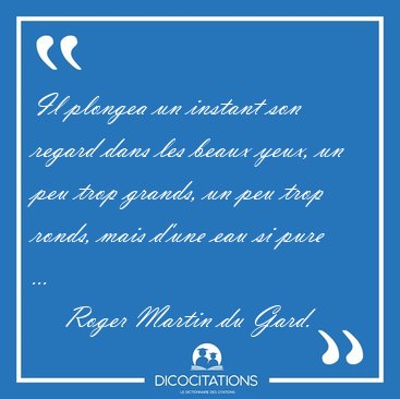 Il plongea un instant son regard dans les beaux yeux, un peu [...] - Roger Martin du Gard...