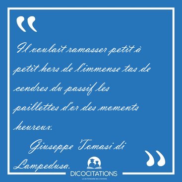 Il voulait ramasser petit  petit hors de l'immense tas de [...] - Giuseppe Tomasi di Lampedusa...