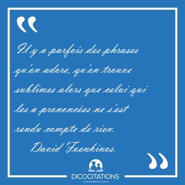 Il y a parfois des phrases qu'on adore, qu'on trouve sublimes [...] - David Foenkinos...