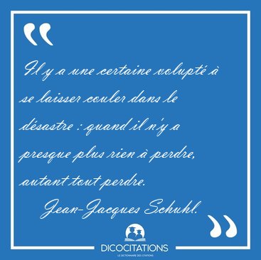 Il y a une certaine volupt  se laisser couler dans le dsastre [...] - Jean-Jacques Schuhl...