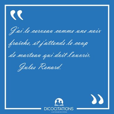 J'ai le cerveau comme une noix frache, et j'attends le coup de [...] - Jules Renard...