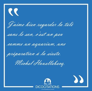 J'aime bien regarder la tl sans le son, c'est un peu comme un [...] - Michel Houellebecq...