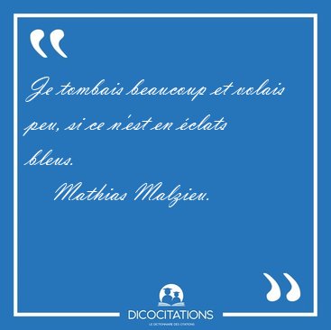 Je tombais beaucoup et volais peu, si ce n'est en clats [...] - Mathias Malzieu...