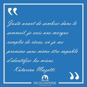 Juste avant de sombrer dans le sommeil, je vois une morgue [...] - Katarina Mazetti...