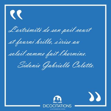 L'extr�mit� de son poil court et fourni brille, s'irise au [...] - Sidonie Gabrielle Colette...