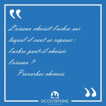 L'oiseau choisit l'arbre sur lequel il veut se reposer ;  [...] - Proverbes chinois...