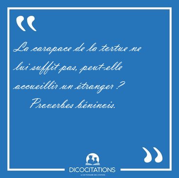La carapace de la tortue ne lui suffit pas, peut-elle  [...] - Proverbes bninois...